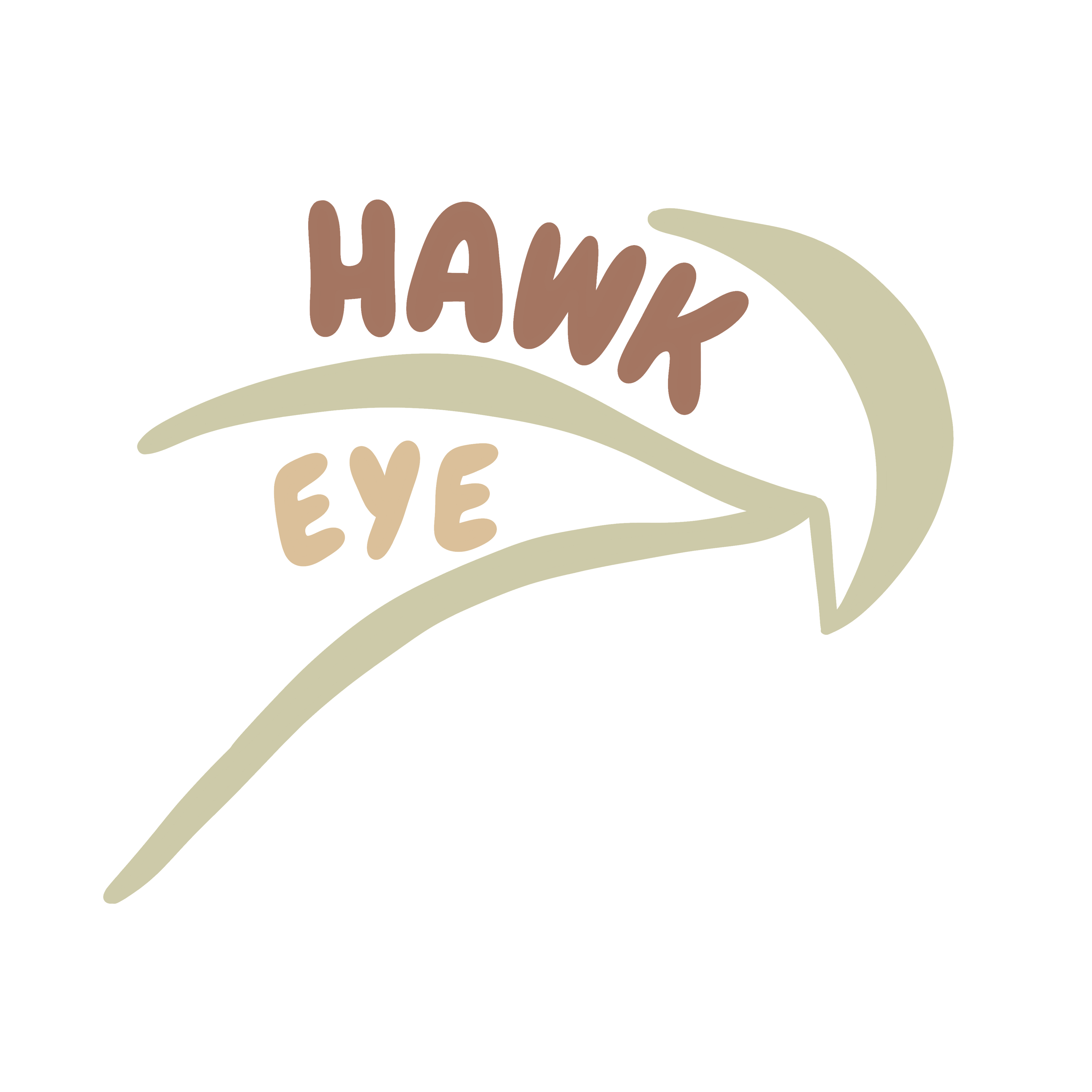HawkEye